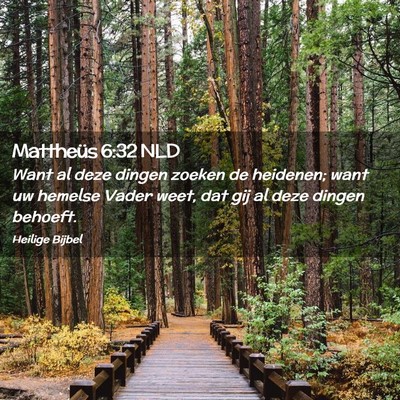 Picture 02 - Mattheüs 6:32 NLD - Want al deze dingen zoeken de heidenen; want uw - Bible Verse Picture