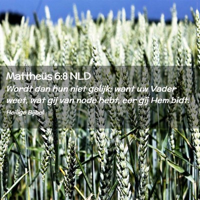 Picture 02 - Mattheüs 6:8 NLD - Wordt dan hun niet gelijk; want uw Vader weet, - Bible Verse Picture