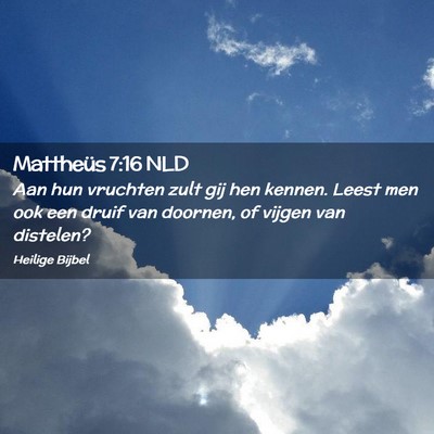 Picture 02 - Mattheüs 7:16 NLD - Aan hun vruchten zult gij hen kennen. Leest men - Bible Verse Picture