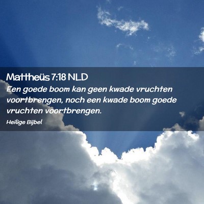 Picture 02 - Mattheüs 7:18 NLD - Een goede boom kan geen kwade vruchten - Bible Verse Picture