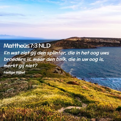 Picture 02 - Mattheüs 7:3 NLD - En wat ziet gij den splinter, die in het oog uws - Bible Verse Picture