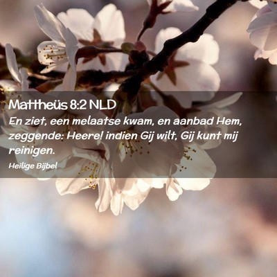 Picture 02 - Mattheüs 8:2 NLD - En ziet, een melaatse kwam, en aanbad Hem, - Bible Verse Picture