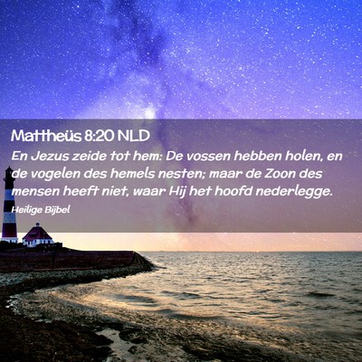 Picture 02 - Mattheüs 8:20 NLD - En Jezus zeide tot hem: De vossen hebben holen, - Bible Verse Picture