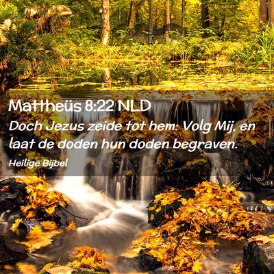 Picture 02 - Mattheüs 8:22 NLD - Doch Jezus zeide tot hem: Volg Mij, en laat de - Bible Verse Picture