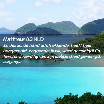 Picture 02 - Mattheüs 8:3 NLD - En Jezus, de hand uitstrekkende, heeft hem - Bible Verse Picture