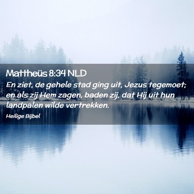 Picture 02 - Mattheüs 8:34 NLD - En ziet, de gehele stad ging uit, Jezus tegemoet; - Bible Verse Picture