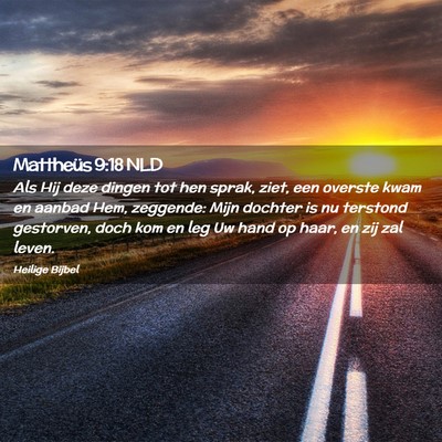 Picture 02 - Mattheüs 9:18 NLD - Als Hij deze dingen tot hen sprak, ziet, een - Bible Verse Picture