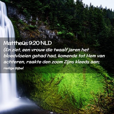 Picture 02 - Mattheüs 9:20 NLD - (En ziet, een vrouw die twaalf jaren het - Bible Verse Picture