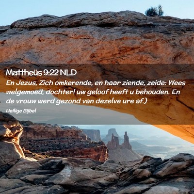Picture 02 - Mattheüs 9:22 NLD - En Jezus, Zich omkerende, en haar ziende, zeide: - Bible Verse Picture
