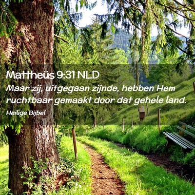 Picture 02 - Mattheüs 9:31 NLD - Maar zij, uitgegaan zijnde, hebben Hem ruchtbaar - Bible Verse Picture