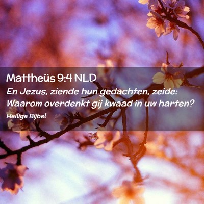 Picture 02 - Mattheüs 9:4 NLD - En Jezus, ziende hun gedachten, zeide: Waarom - Bible Verse Picture