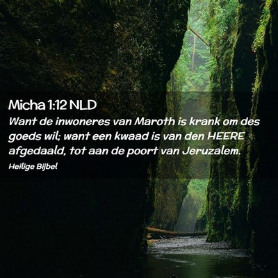 Picture 02 - Micha 1:12 NLD - Want de inwoneres van Maroth is krank om des - Bible Verse Picture