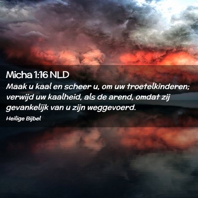 Picture 02 - Micha 1:16 NLD - Maak u kaal en scheer u, om uw troetelkinderen; - Bible Verse Picture