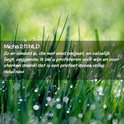Picture 02 - Micha 2:11 NLD - Zo er iemand is, die met wind omgaat, en - Bible Verse Picture