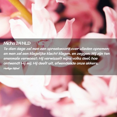 Picture 02 - Micha 2:4 NLD - Te dien dage zal men een spreekwoord over ulieden - Bible Verse Picture