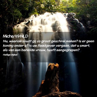 Picture 02 - Micha 4:9 NLD - Nu, waarom zoudt gij zo groot geschrei maken? Is - Bible Verse Picture