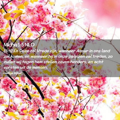 Picture 02 - Micha 5:5 NLD - (5:4) En Deze zal Vrede zijn; wanneer Assur in - Bible Verse Picture
