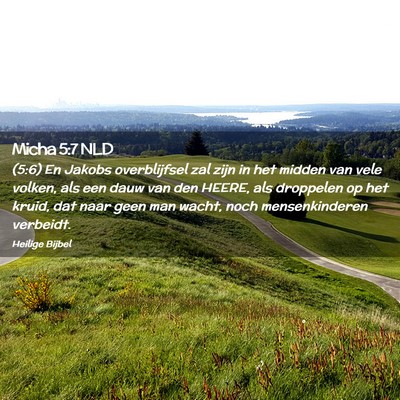 Picture 02 - Micha 5:7 NLD - (5:6) En Jakobs overblijfsel zal zijn in het - Bible Verse Picture