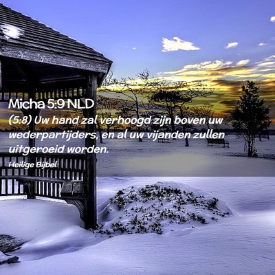 Picture 02 - Micha 5:9 NLD - (5:8) Uw hand zal verhoogd zijn boven uw - Bible Verse Picture