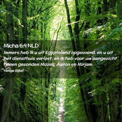 Picture 02 - Micha 6:4 NLD - Immers heb Ik u uit Egypteland opgevoerd, en u - Bible Verse Picture