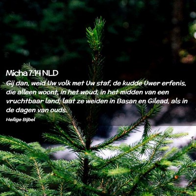 Picture 02 - Micha 7:14 NLD - Gij dan, weid Uw volk met Uw staf, de kudde Uwer - Bible Verse Picture