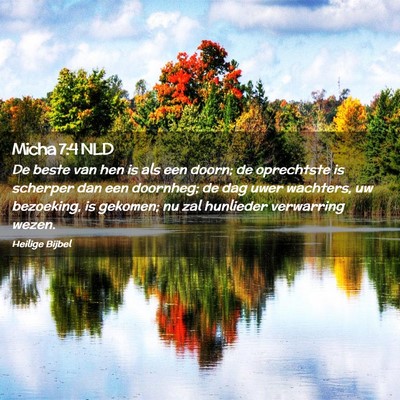 Picture 02 - Micha 7:4 NLD - De beste van hen is als een doorn; de oprechtste - Bible Verse Picture