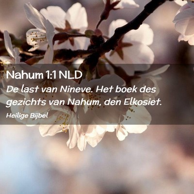 Picture 02 - Nahum 1:1 NLD - De last van Nineve. Het boek des gezichts van - Bible Verse Picture
