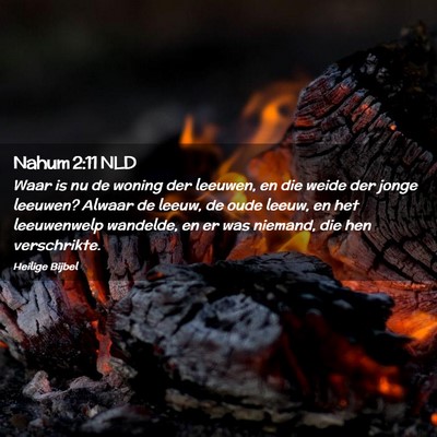 Picture 02 - Nahum 2:11 NLD - Waar is nu de woning der leeuwen, en die weide - Bible Verse Picture