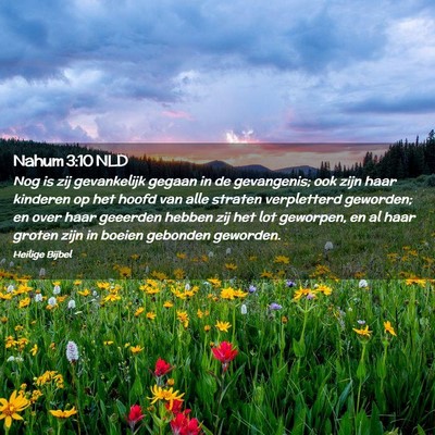 Picture 02 - Nahum 3:10 NLD - Nog is zij gevankelijk gegaan in de gevangenis; - Bible Verse Picture