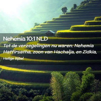 Picture 02 - Nehemia 10:1 NLD - Tot de verzegelingen nu waren: Nehemia - Bible Verse Picture