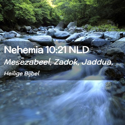 Picture 02 - Nehemia 10:21 NLD - Mesezabeel, Zadok, - Bible Verse Picture