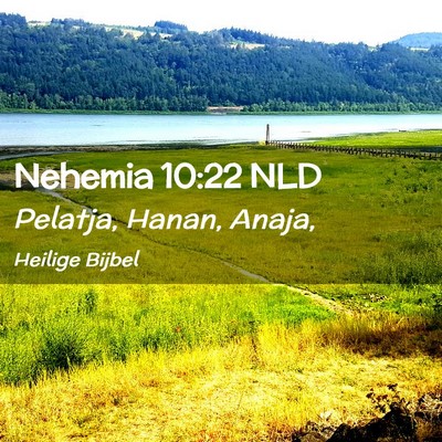 Picture 02 - Nehemia 10:22 NLD - Pelatja, Hanan, - Bible Verse Picture