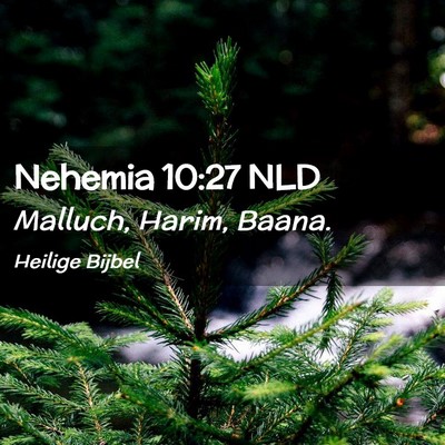 Picture 02 - Nehemia 10:27 NLD - Malluch, Harim, - Bible Verse Picture