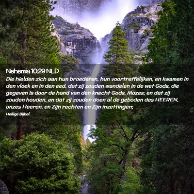 Picture 02 - Nehemia 10:29 NLD - Die hielden zich aan hun broederen, hun - Bible Verse Picture