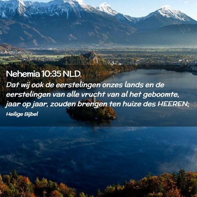 Picture 02 - Nehemia 10:35 NLD - Dat wij ook de eerstelingen onzes lands en de - Bible Verse Picture