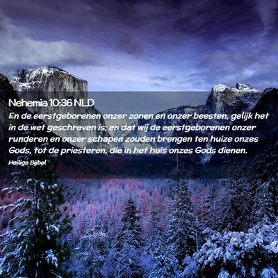 Picture 02 - Nehemia 10:36 NLD - En de eerstgeborenen onzer zonen en onzer - Bible Verse Picture