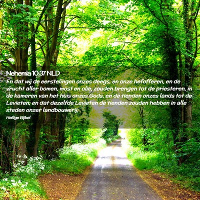 Picture 02 - Nehemia 10:37 NLD - En dat wij de eerstelingen onzes deegs, en onze - Bible Verse Picture
