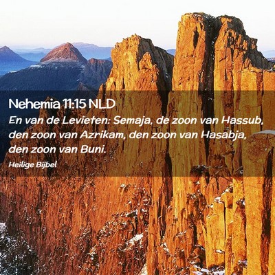 Picture 02 - Nehemia 11:15 NLD - En van de Levieten: Semaja, de zoon van Hassub, - Bible Verse Picture