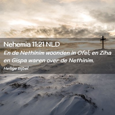 Picture 02 - Nehemia 11:21 NLD - En de Nethinim woonden in Ofel; en Ziha en Gispa - Bible Verse Picture