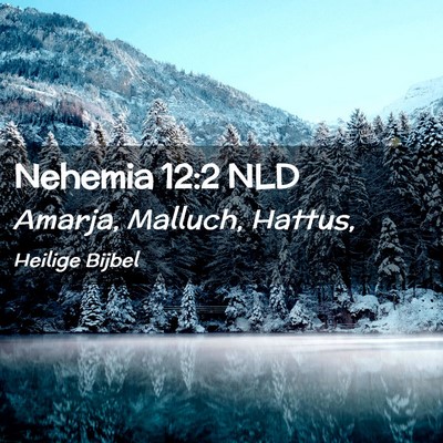 Picture 02 - Nehemia 12:2 NLD - Amarja, Malluch, - Bible Verse Picture
