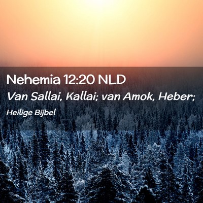 Picture 02 - Nehemia 12:20 NLD - Van Sallai, Kallai; van Amok, - Bible Verse Picture