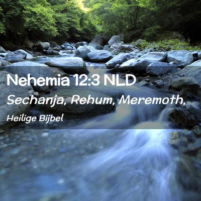 Picture 02 - Nehemia 12:3 NLD - Sechanja, Rehum, - Bible Verse Picture
