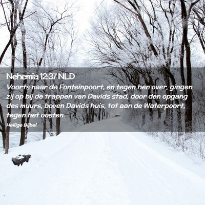 Picture 02 - Nehemia 12:37 NLD - Voorts naar de Fonteinpoort, en tegen hen over, - Bible Verse Picture