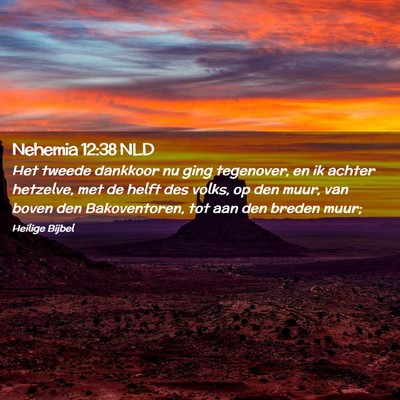 Picture 02 - Nehemia 12:38 NLD - Het tweede dankkoor nu ging tegenover, en ik - Bible Verse Picture