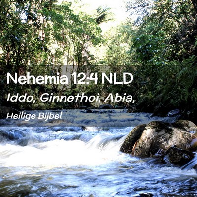 Picture 02 - Nehemia 12:4 NLD - Iddo, Ginnethoi, - Bible Verse Picture