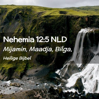 Picture 02 - Nehemia 12:5 NLD - Mijamin, Maadja, - Bible Verse Picture