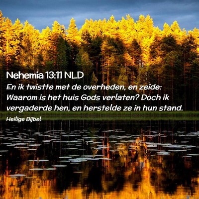 Picture 02 - Nehemia 13:11 NLD - En ik twistte met de overheden, en zeide: Waarom - Bible Verse Picture