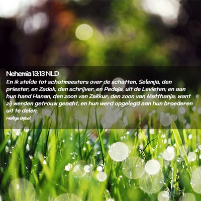 Picture 02 - Nehemia 13:13 NLD - En ik stelde tot schatmeesters over de schatten, - Bible Verse Picture