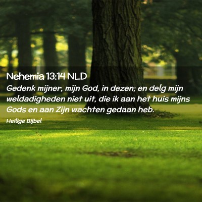 Picture 02 - Nehemia 13:14 NLD - Gedenk mijner, mijn God, in dezen; en delg mijn - Bible Verse Picture