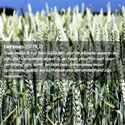 Picture 02 - Nehemia 2:17 NLD - Toen zeide ik tot hen: Gijlieden ziet de ellende, - Bible Verse Picture